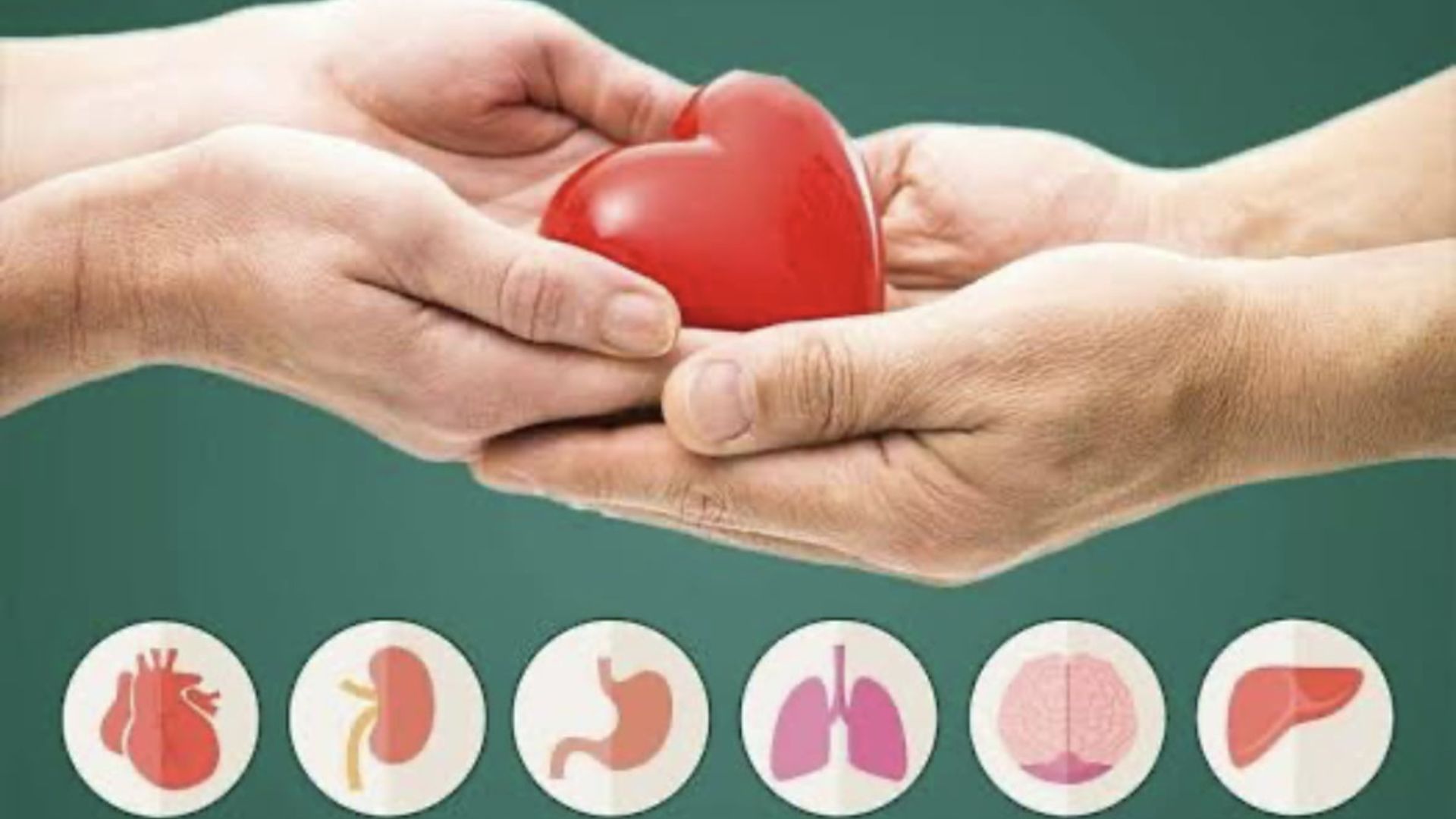 World Organ Donation Day 2024: Embracing the Gift of Life