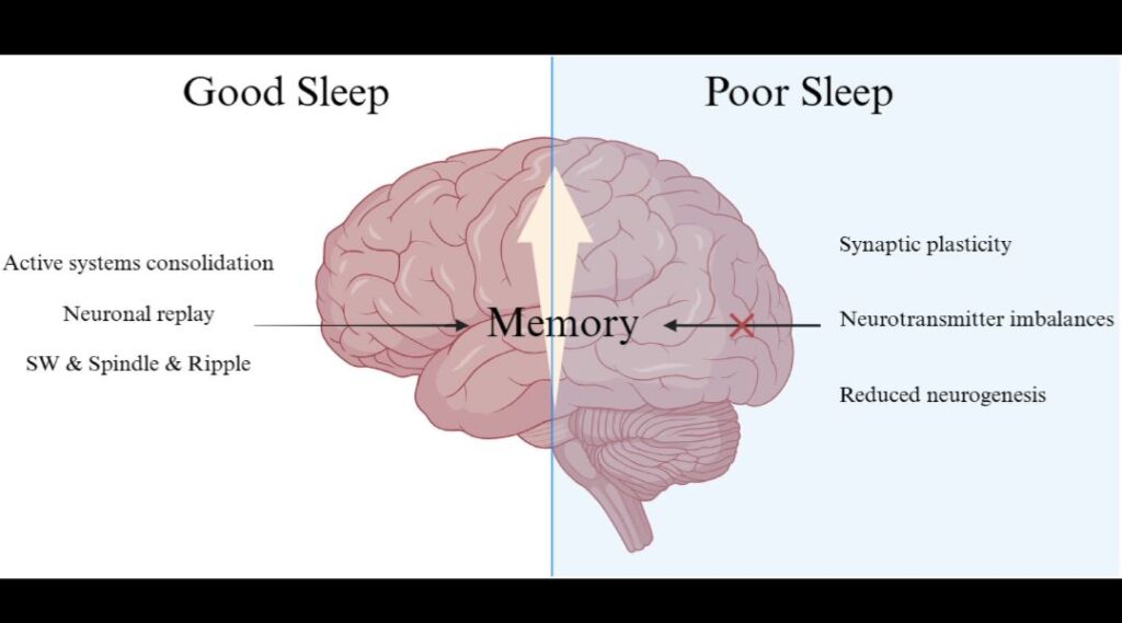 sleep good for health
