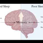 sleep good for health